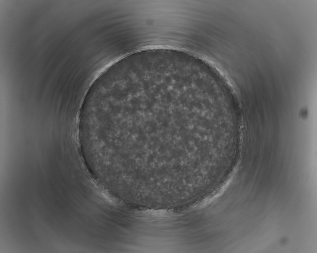 X0000116871121201001191717