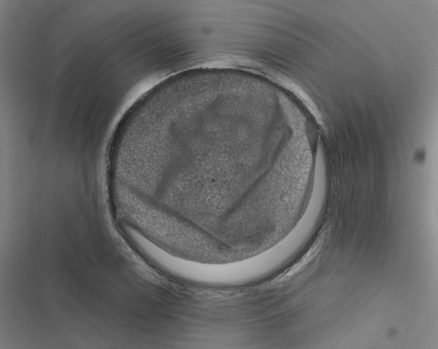 X0000116871122201001191717