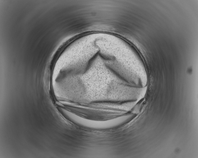 X0000116871123201001191717