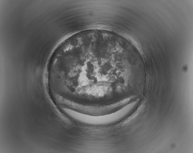 X0000116871125201001191717