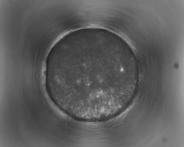 X0000116871126201001191717