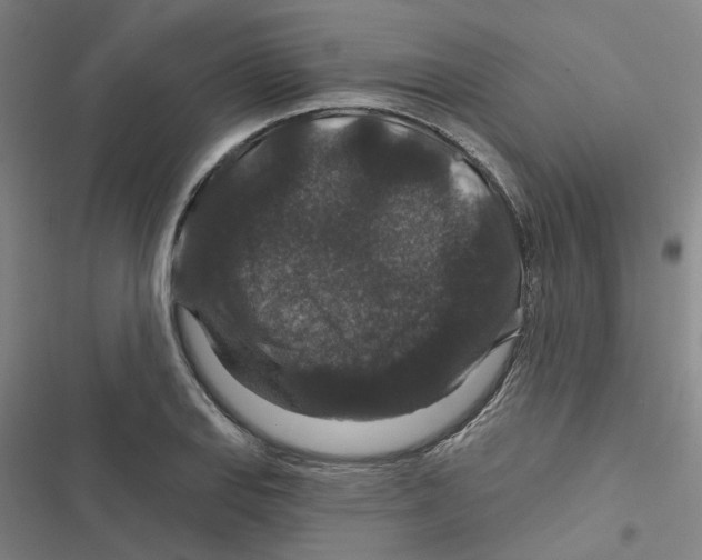 X0000116871127201001191717