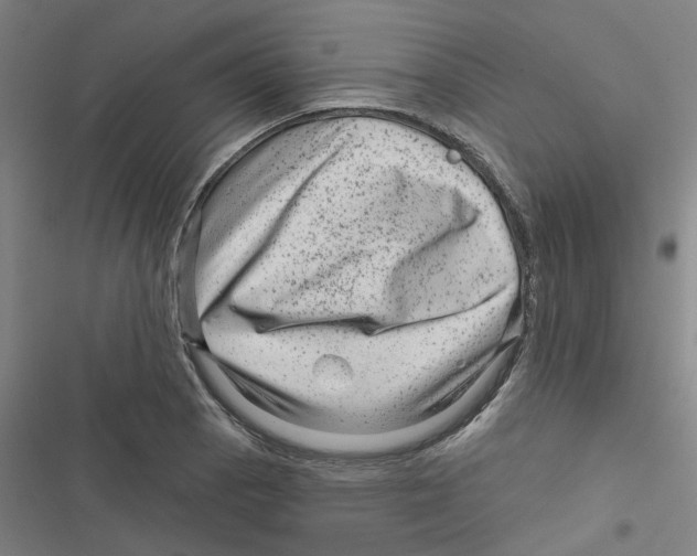 X0000116871129201001191717