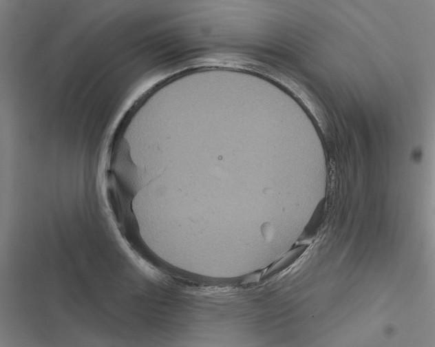 X0000116871131201001191717