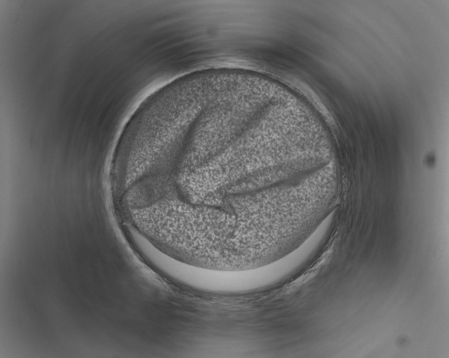 X0000116871133201001191717
