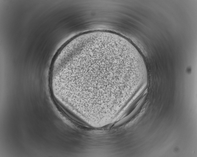 X0000116871134201001191717