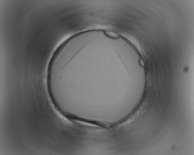 X0000116871135201001191717