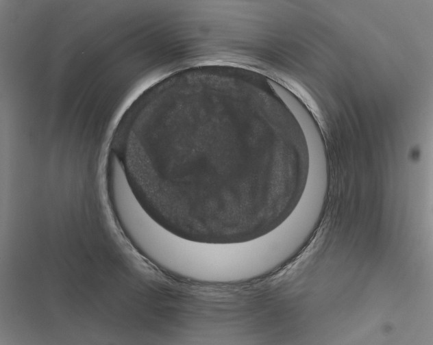 X0000116871138201001191717