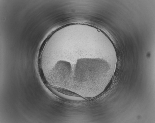 X0000116871139201001191717