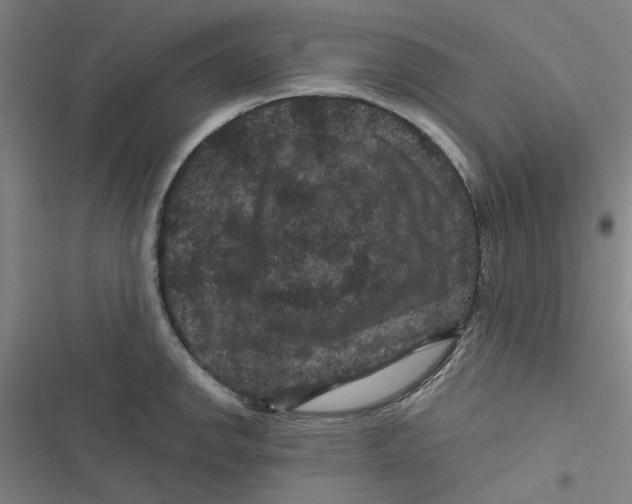 X0000116871142201001191717