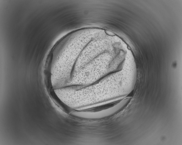 X0000116871143201001191717