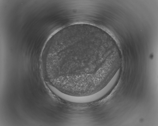 X0000116871145201001191717