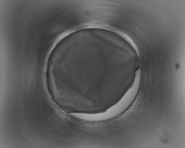 X0000116871146201001191717