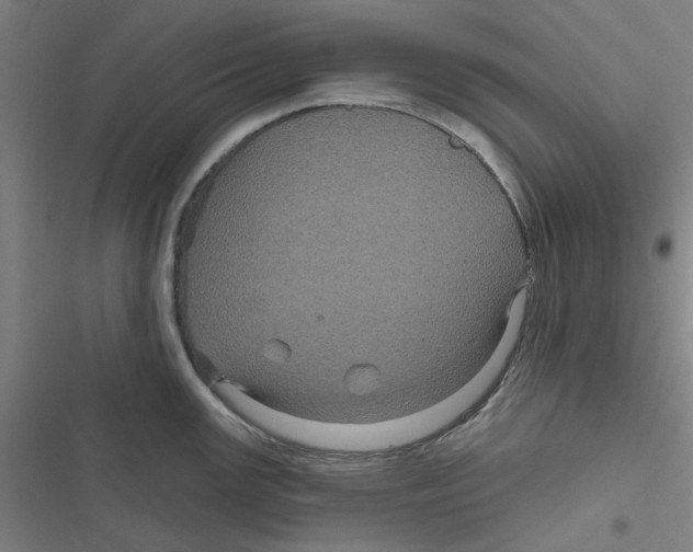 X0000116871147201001191717