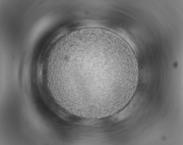 X0000116871150201001191717