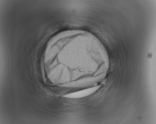 X0000116871153201001191717