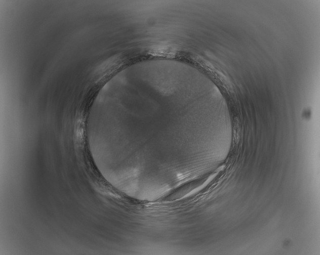 X0000116871154201001191717