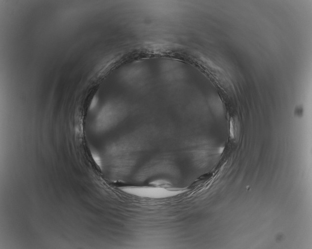 X0000116871155201001191717