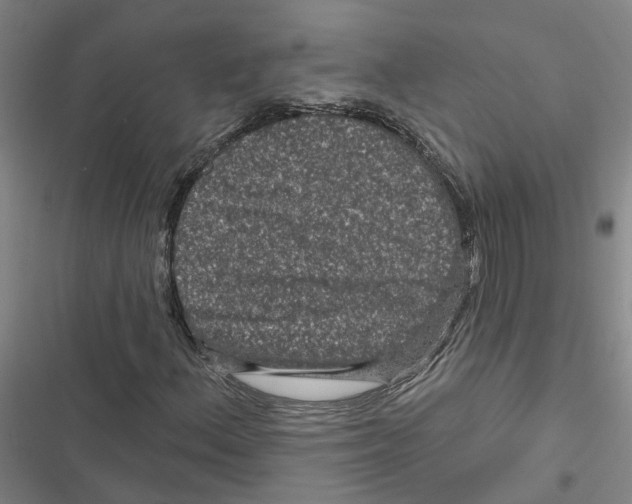 X0000116871156201001191716
