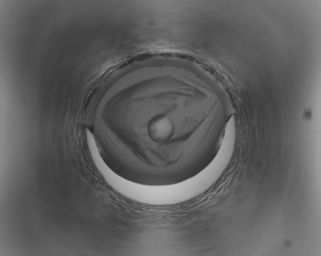 X0000116871157201001191716