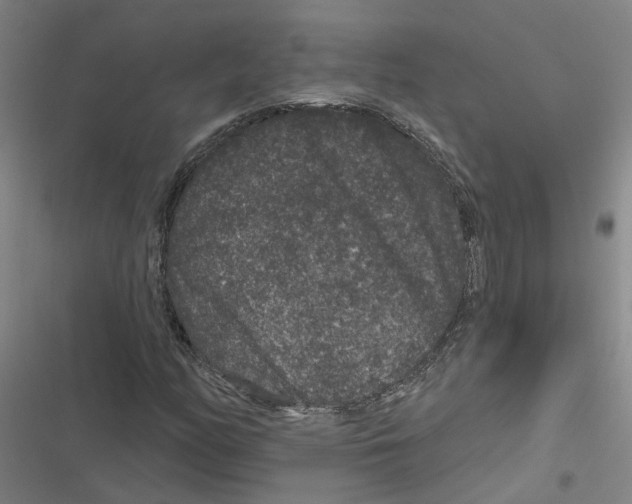 X0000116871158201001191716