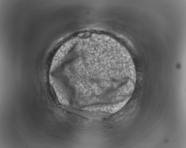 X0000116871159201001191716
