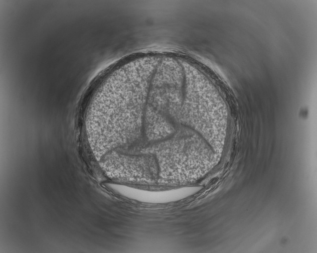X0000116871160201001191716