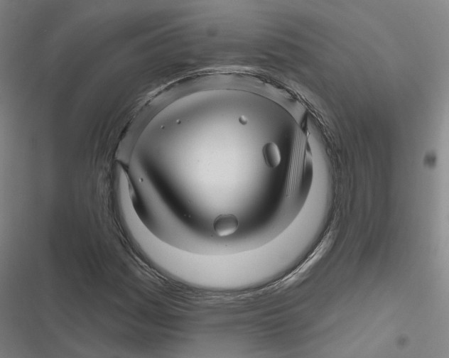 X0000116871161201001191716