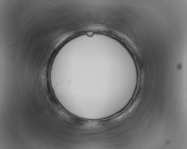 X0000116871162201001191716