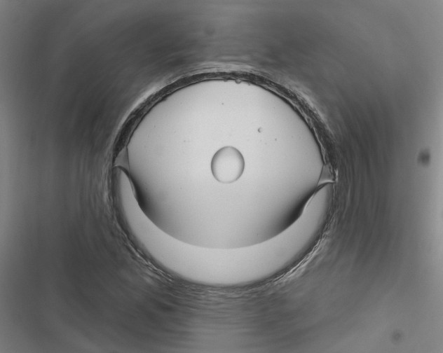 X0000116871165201001191716