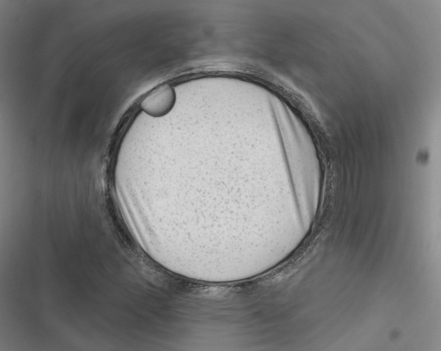 X0000116871166201001191716