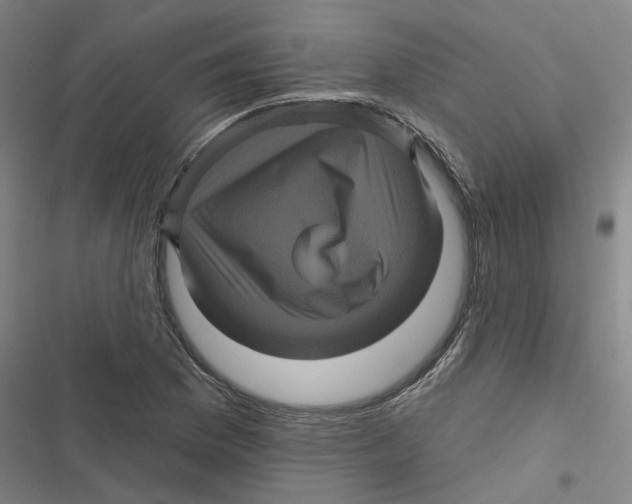 X0000116871169201001191716