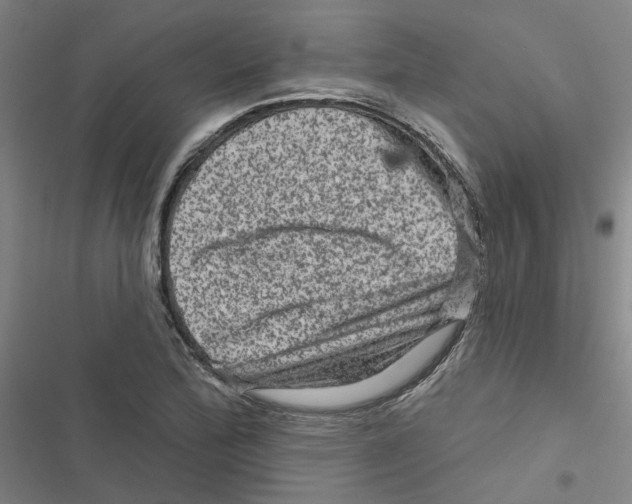 X0000116871172201001191716