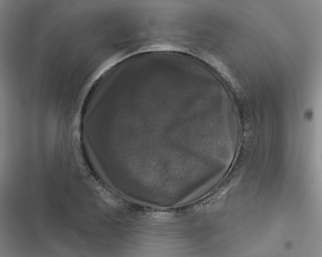 X0000116871173201001191716