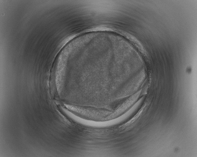 X0000116871177201001191716