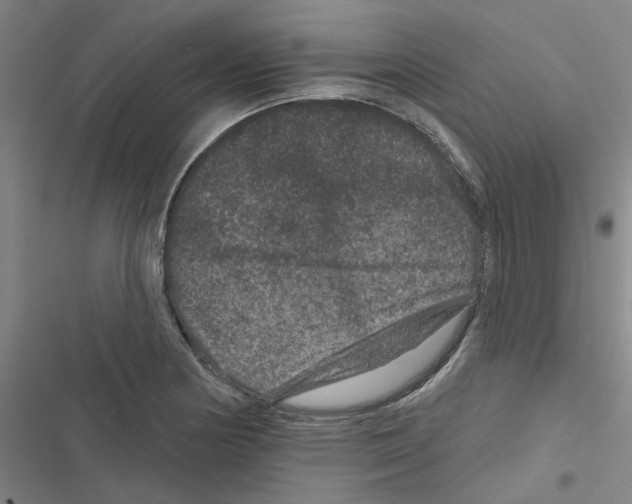 X0000116871178201001191716