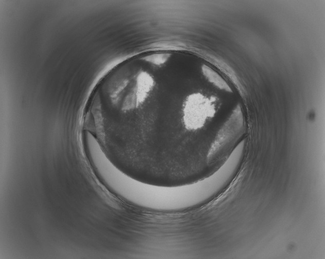 X0000116871179201001191716