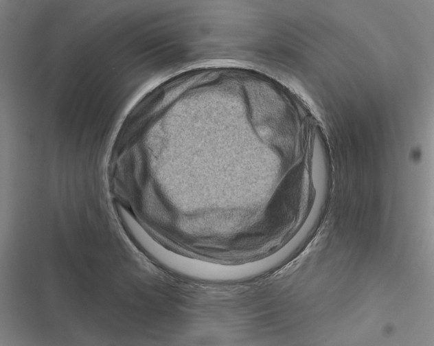 X0000116871181201001191716