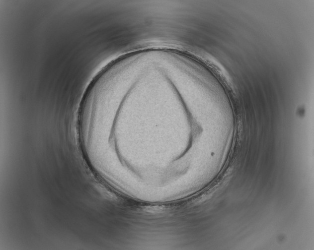 X0000116871182201001191716