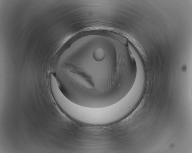 X0000116871185201001191716