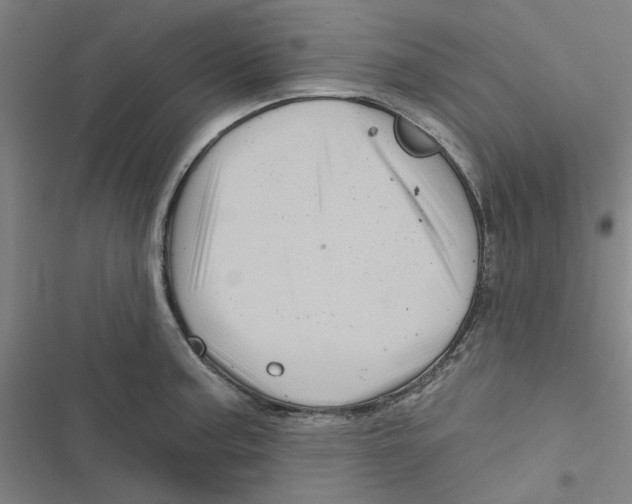X0000116871187201001191716