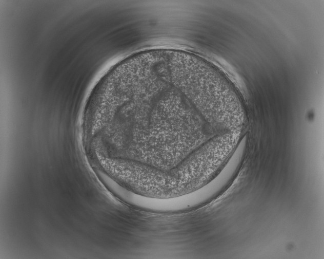 X0000116871188201001191716