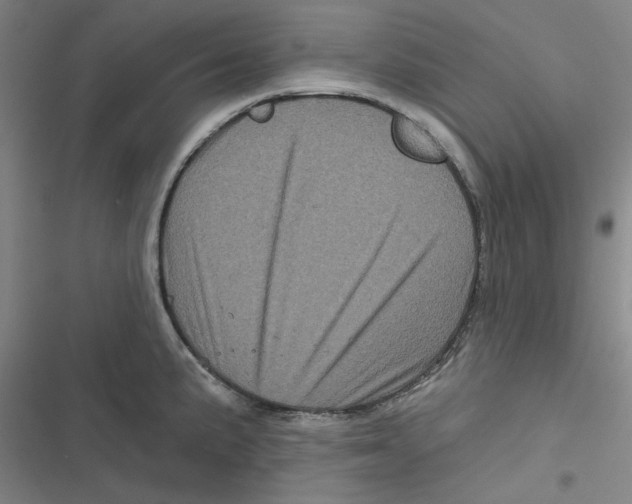 X0000116871191201001191716