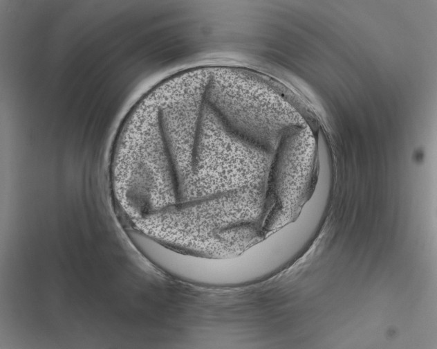 X0000116871192201001191716