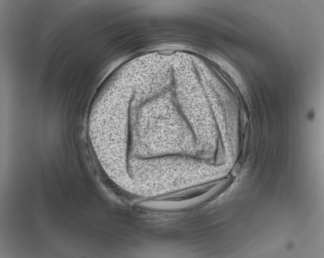 X0000116871193201001191716