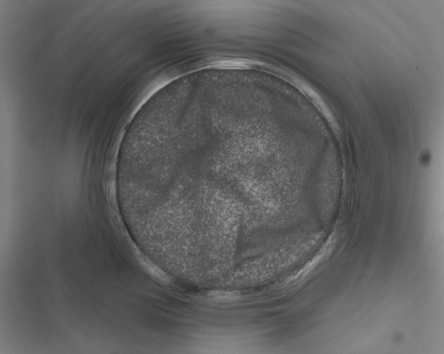 X0000116871194201001191716