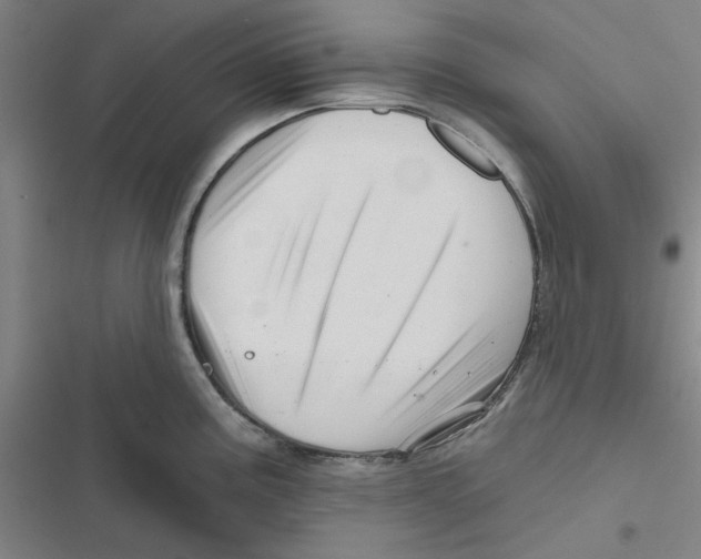 X0000116871195201001191716