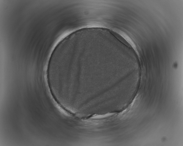 X0000116871197201001191716