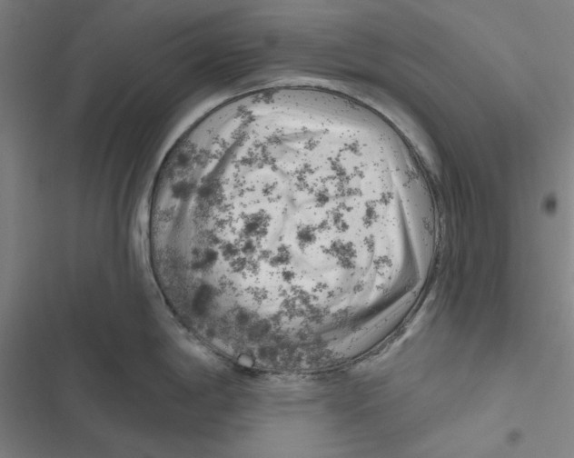 X0000116871198201001191716