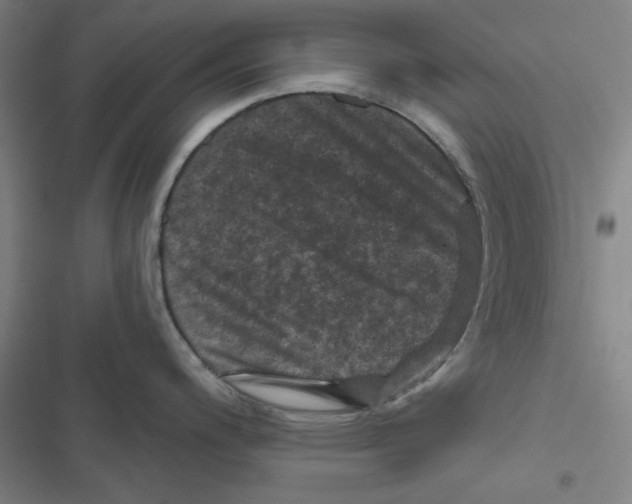 X0000116871200201001191716